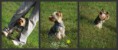 /album/fotogalerie/my-star-jpg/